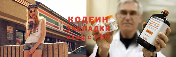 трава Белокуриха