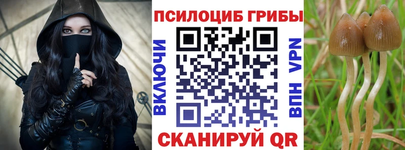 Псилоцибиновые грибы прущие грибы  Ярцево 